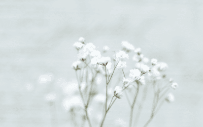 Gentle Breath and Movement for Calm and Joy During Challenging Times.