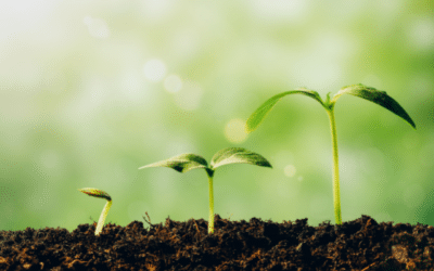 How to Use the SPIRE Model to Move from Languishing Toward Flourishing